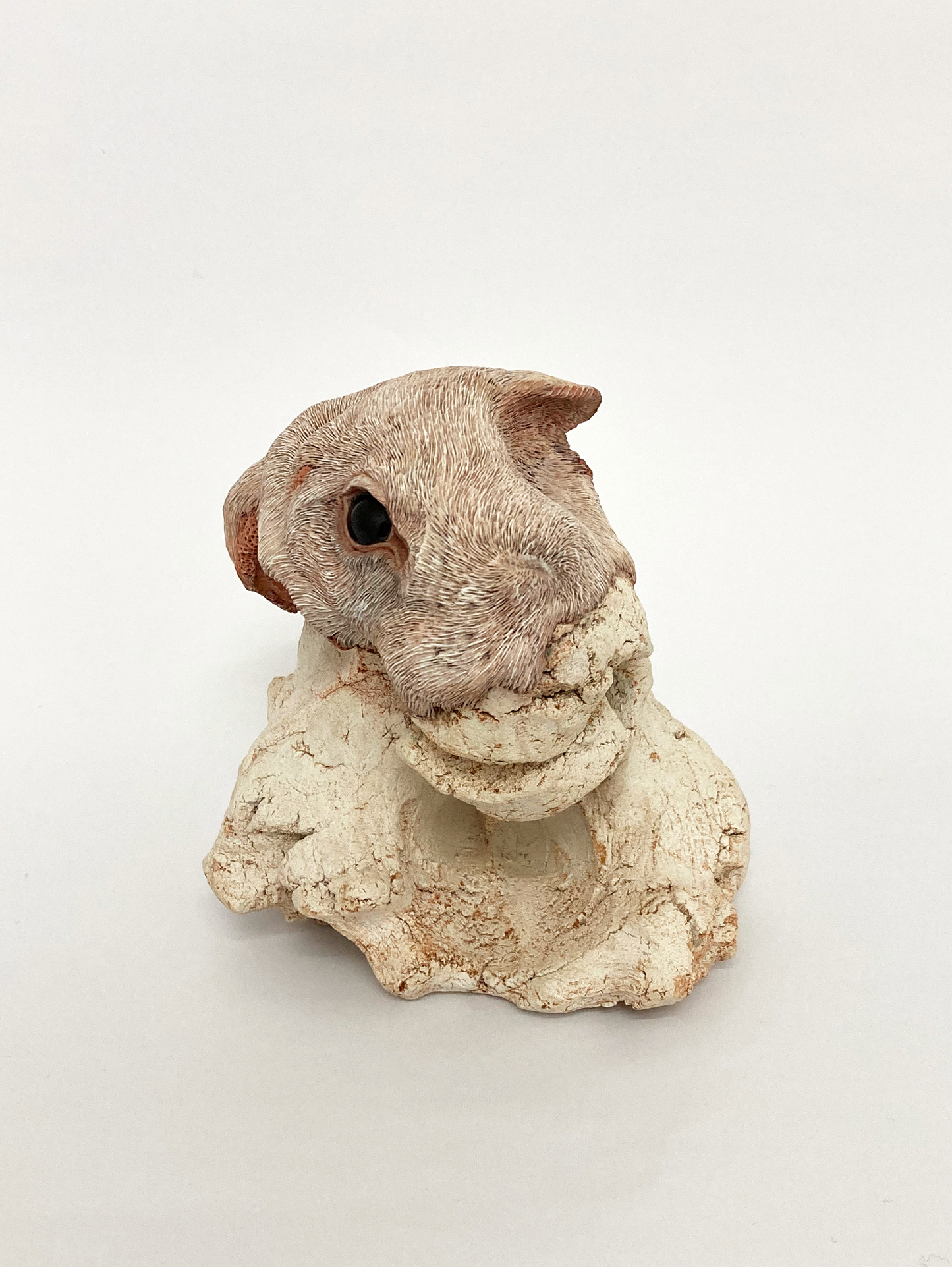 Embryo 002