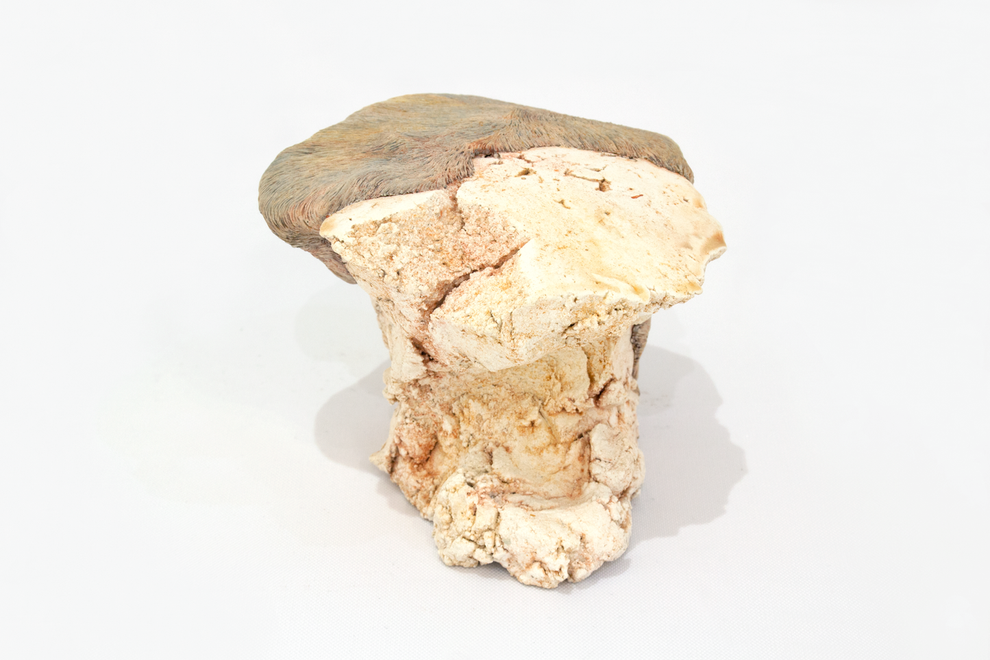 Nucleus 002