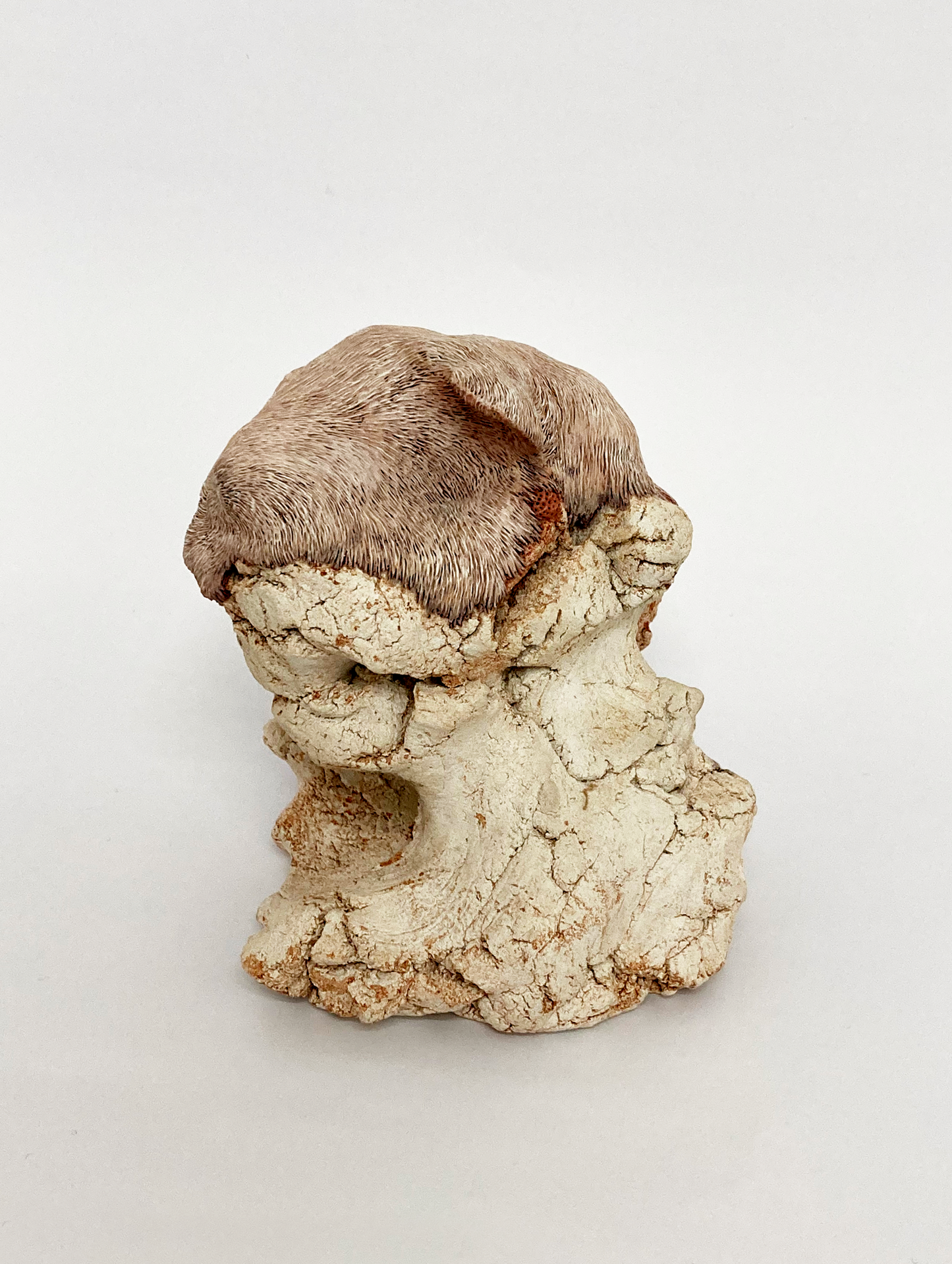 Embryo 002