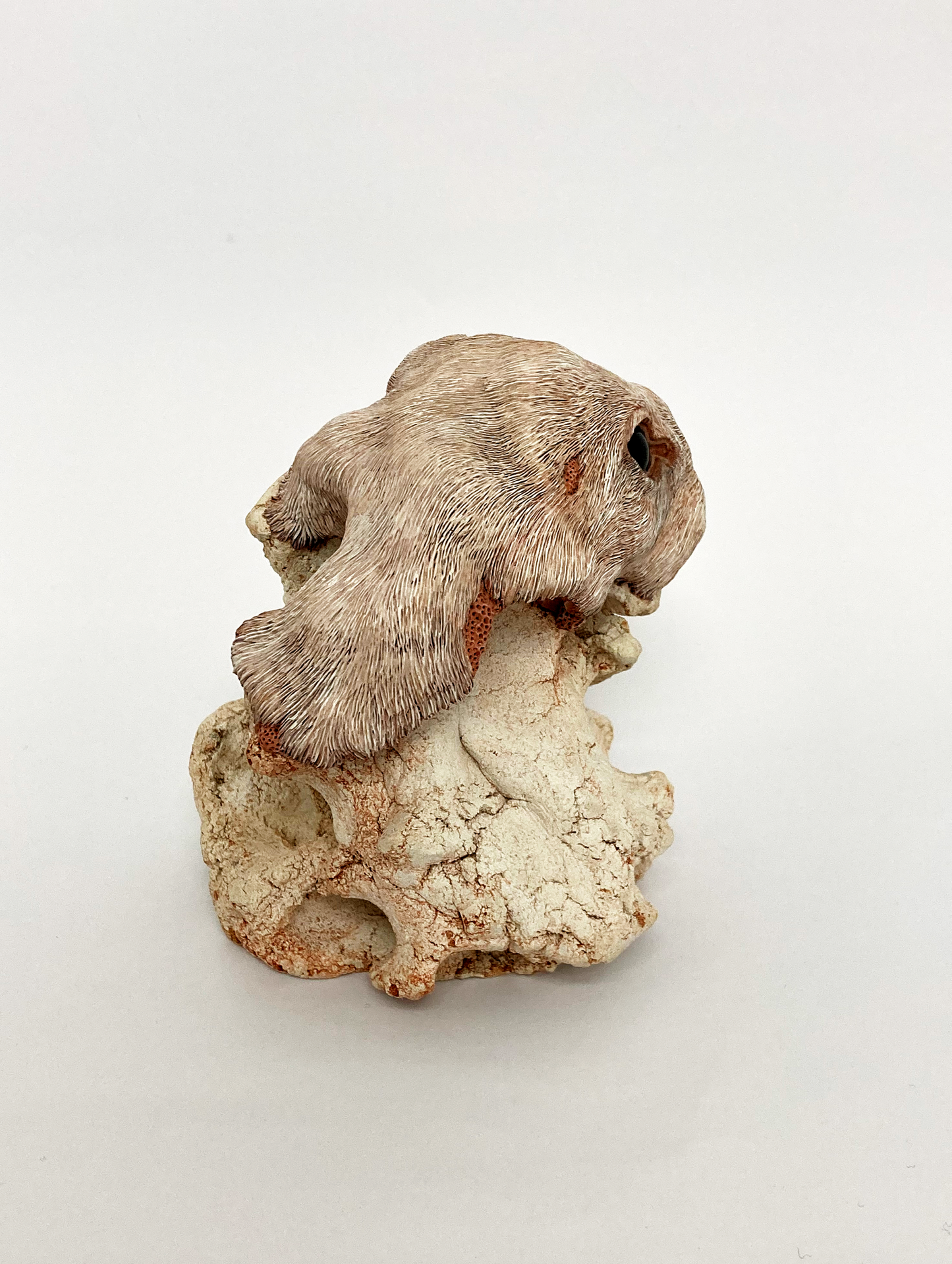 Embryo 002