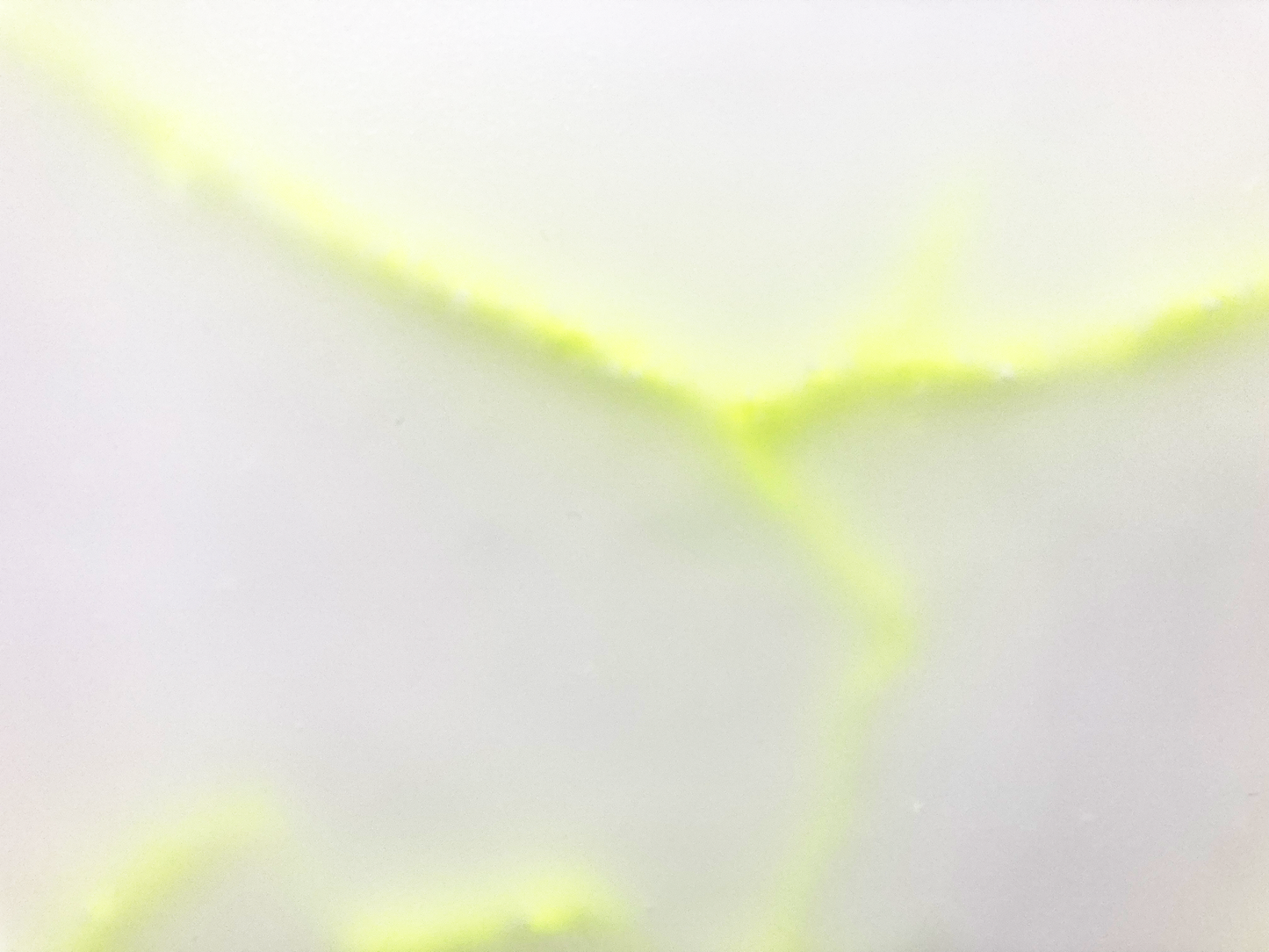 Untitled crack #4