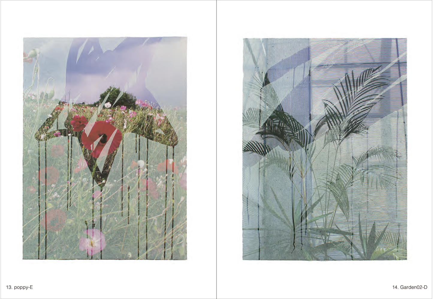 Landscape-21g