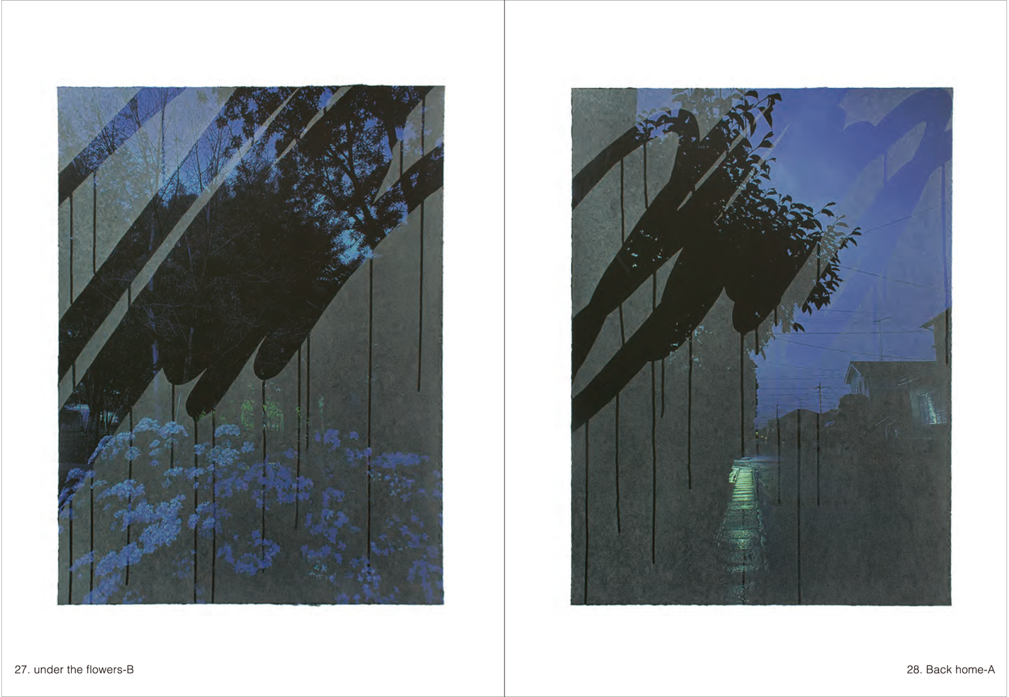 Landscape-21g
