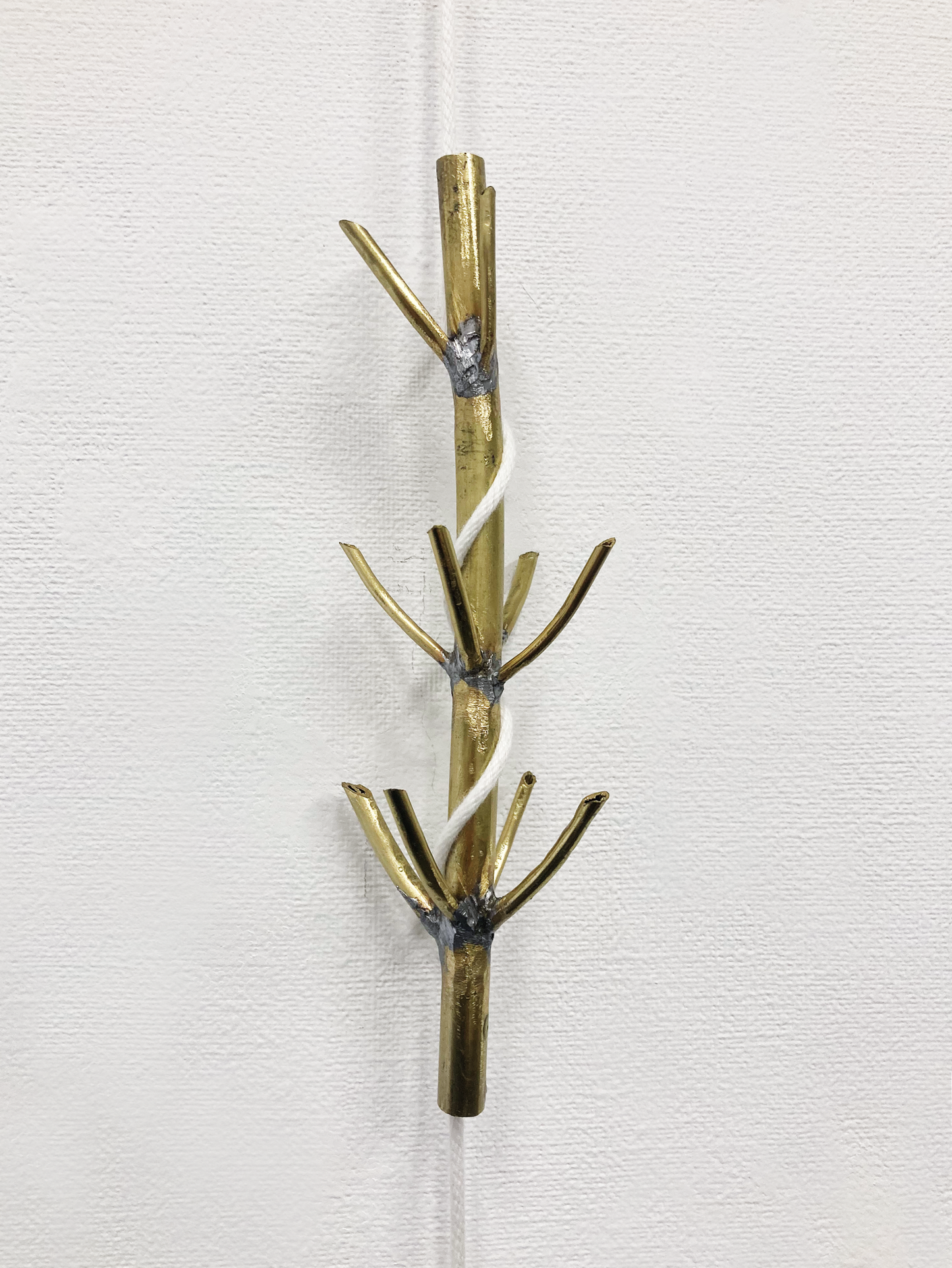 With a branch - Vertical
