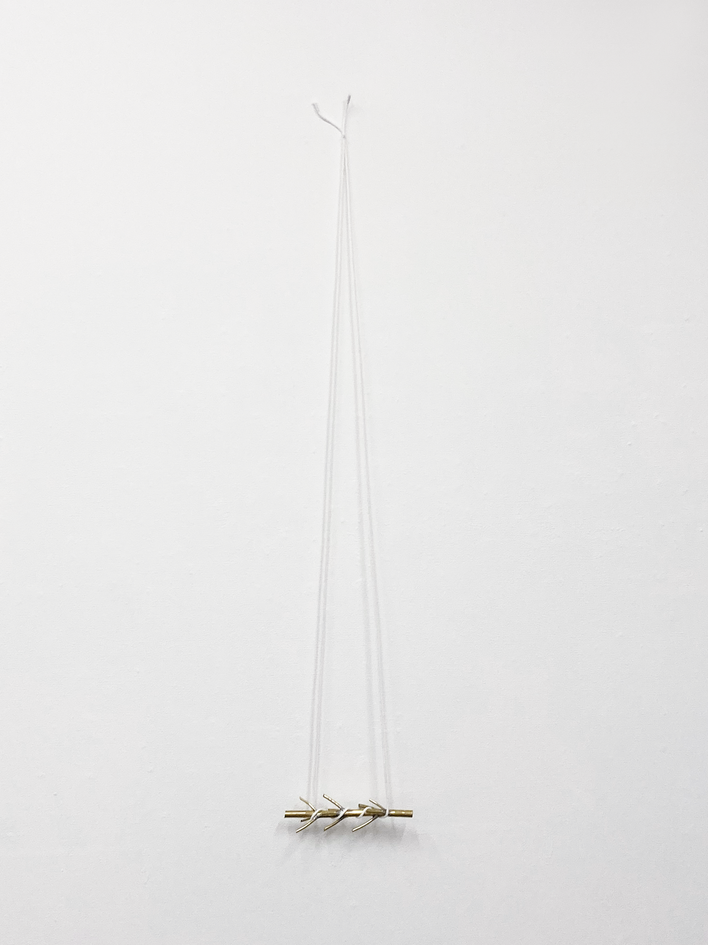With a branch - Horizontal II