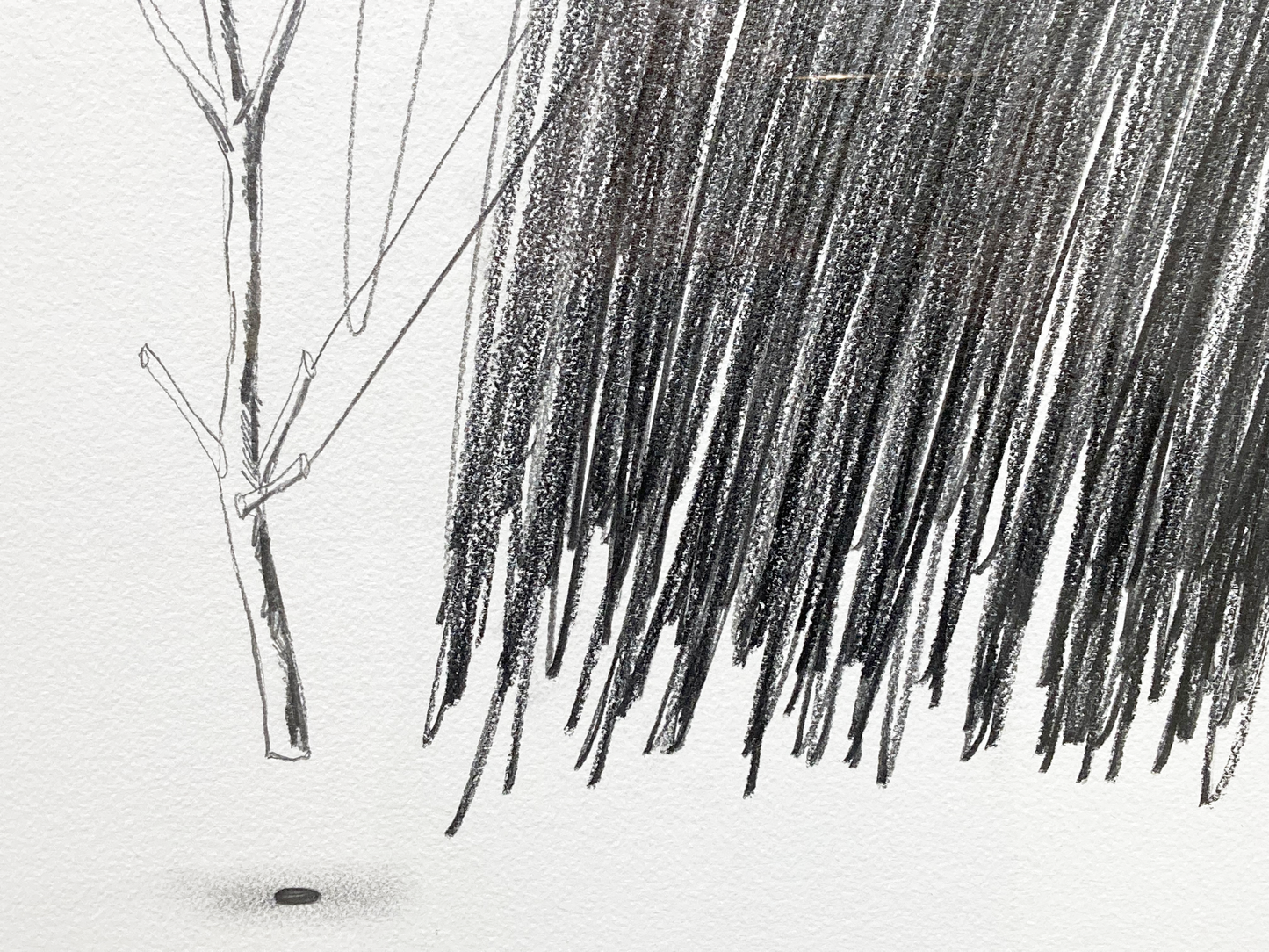 With a branch