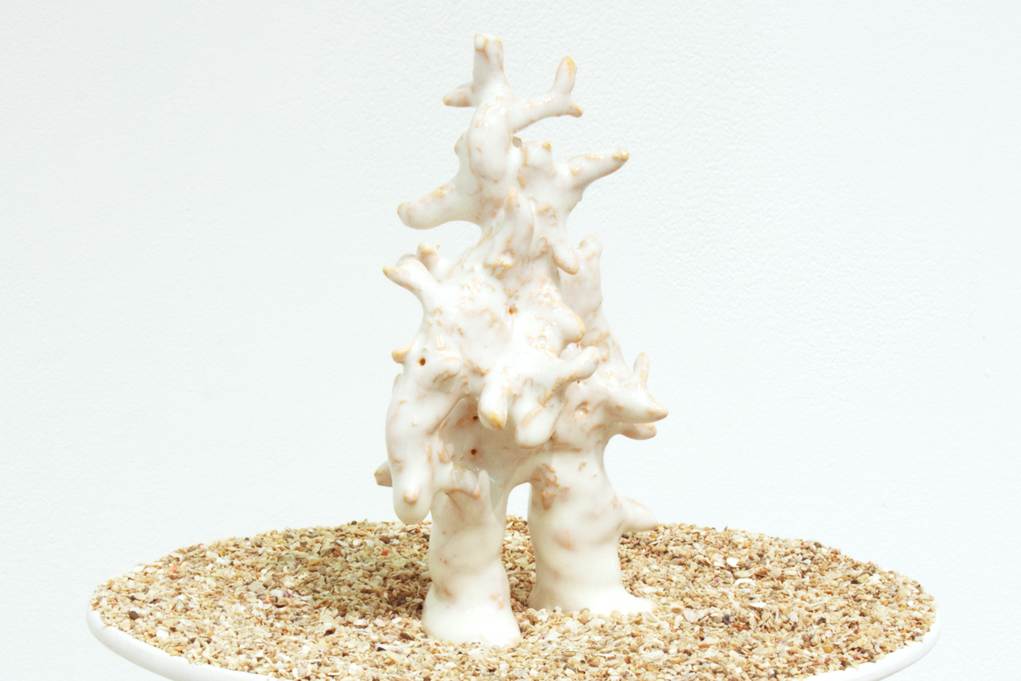 coral human
