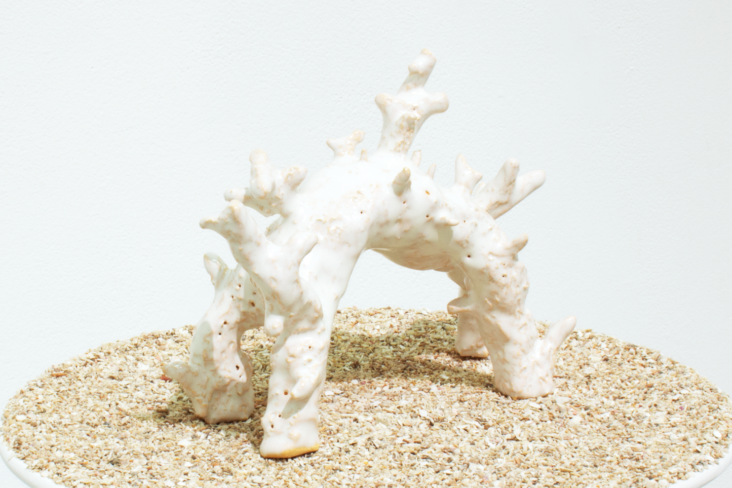 coral human