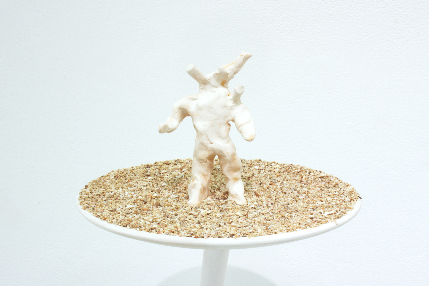 coral human