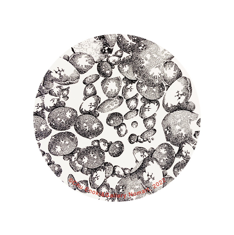Pumice