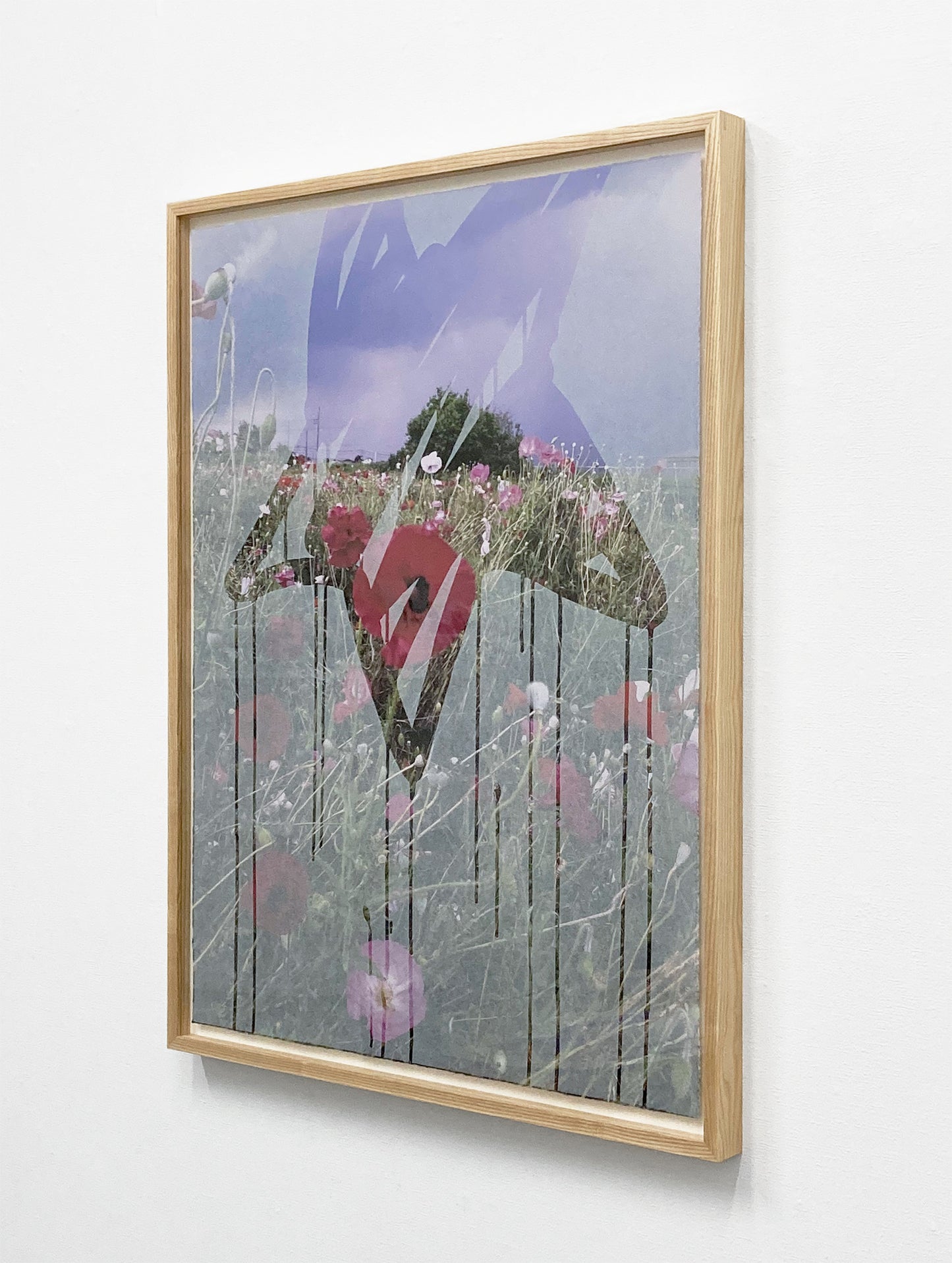 poppy-E