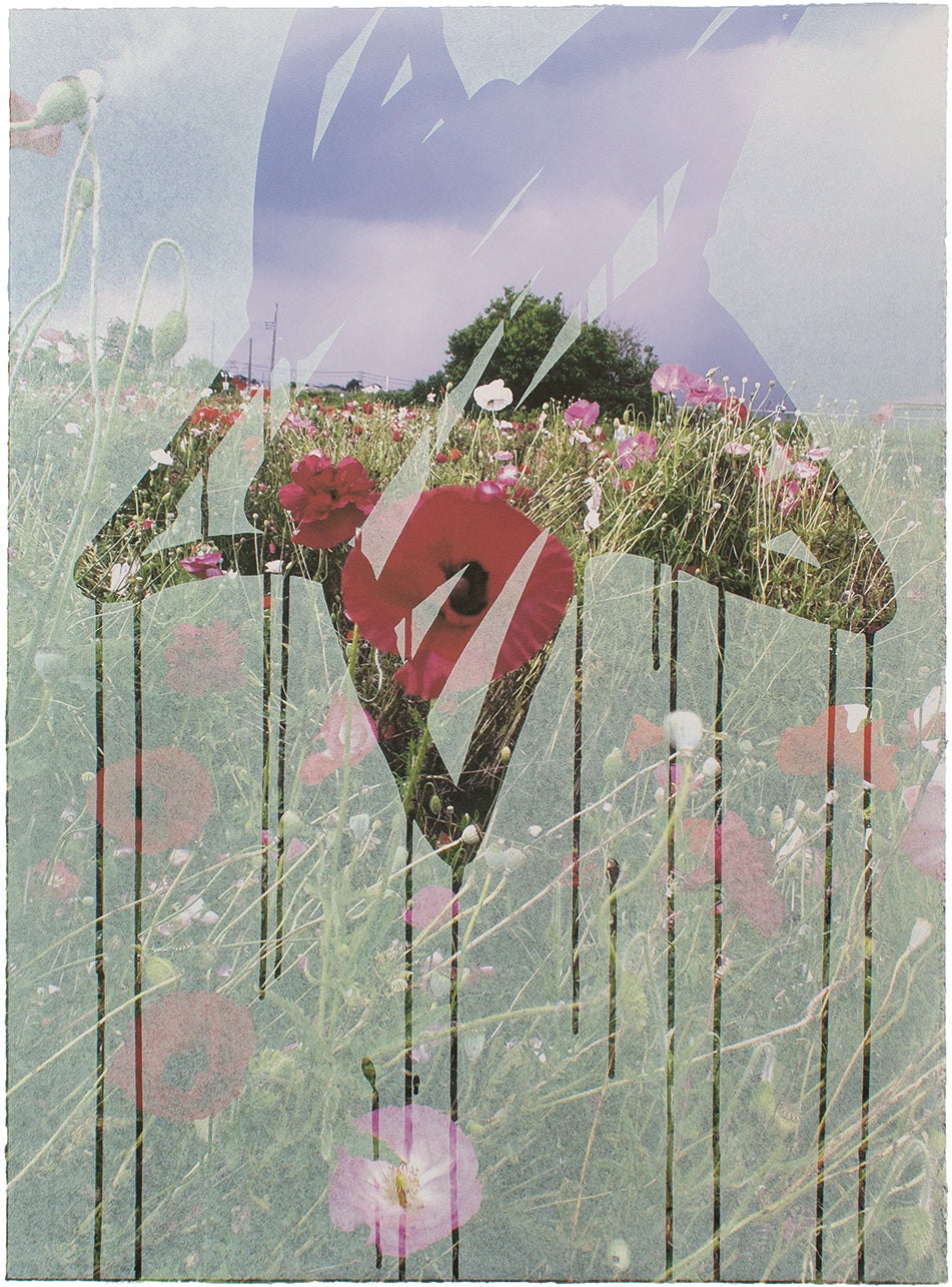 poppy-E