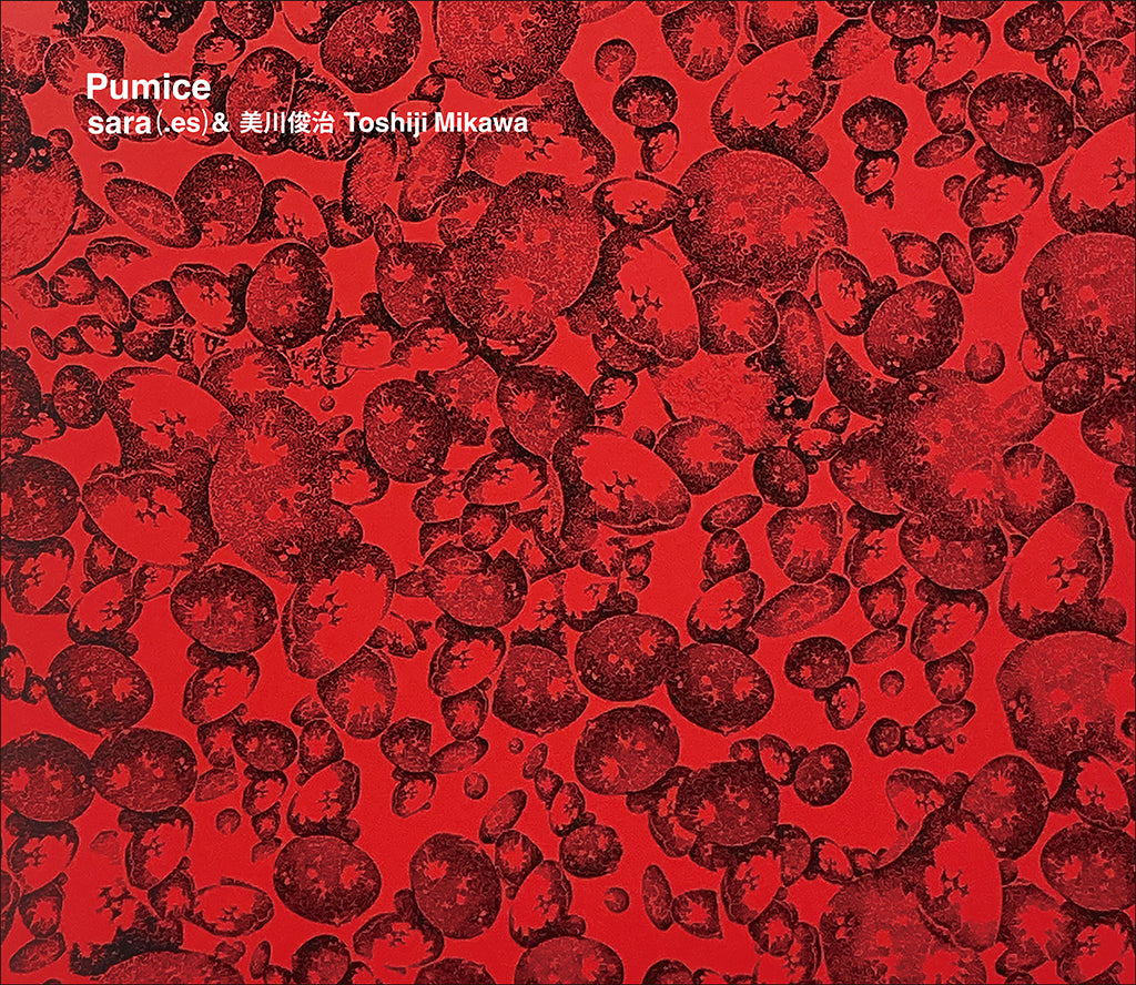 Pumice (sara&美川俊治T.Mikawa)