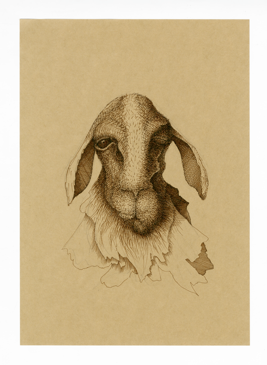 Drawing