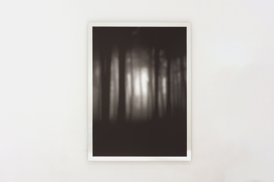 #illusion #幻影 #intothewild