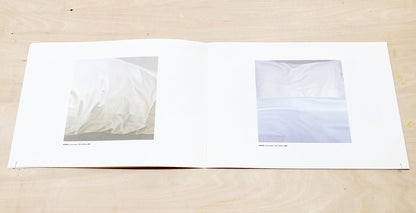 Yasuko Iba, Paintings and Prints