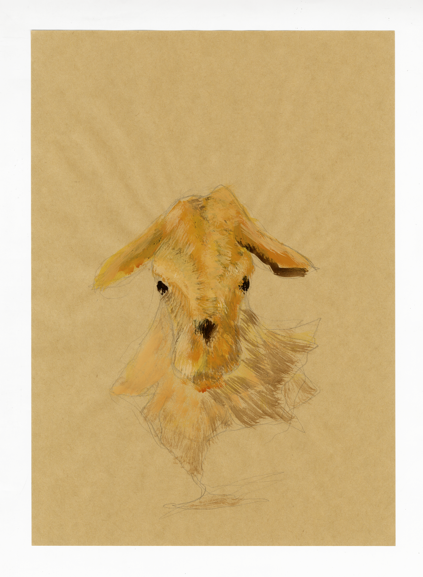 Drawing