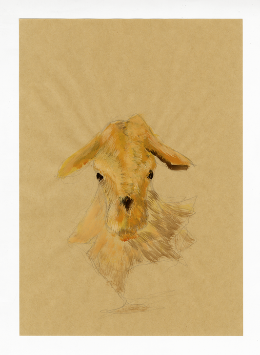 Drawing