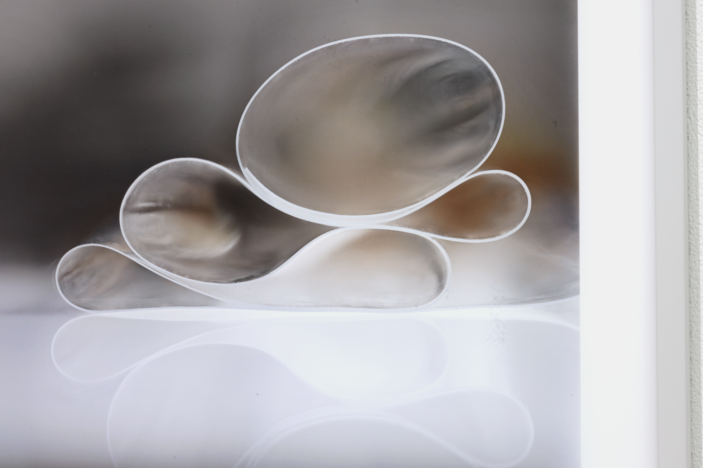 卓上の静物ー柔らかい円とオレンジ