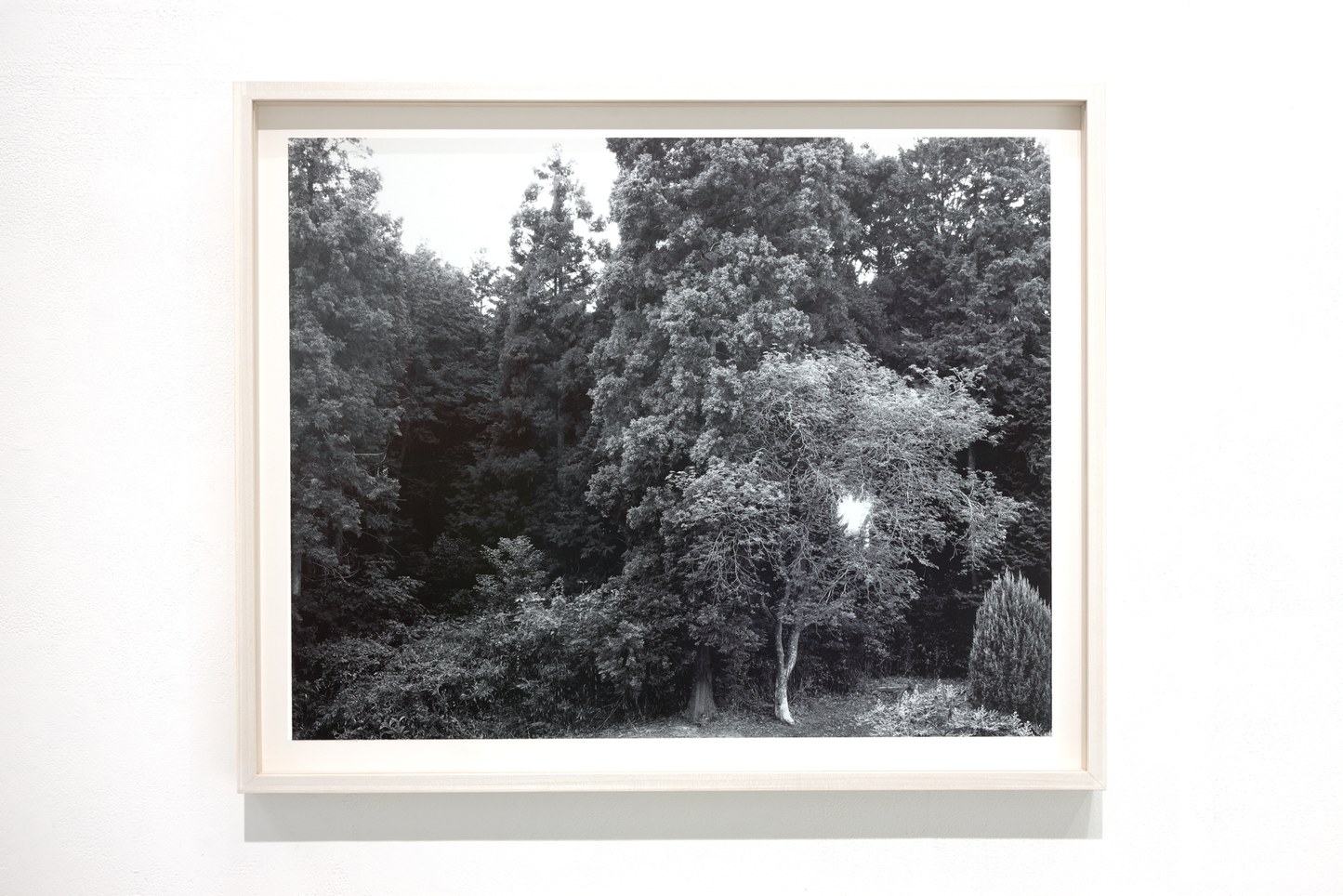 Untitled (November 2025) (1)