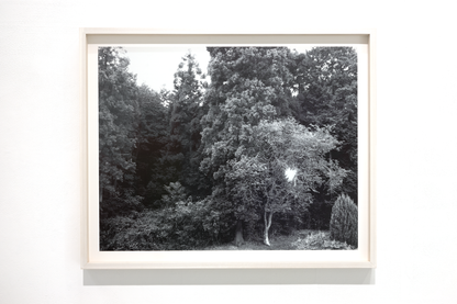 Untitled (November 2025) (1)