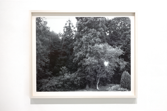 Untitled (November 2025) (1)