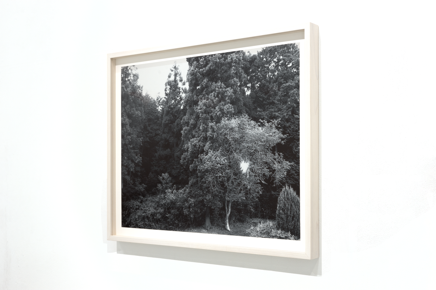 Untitled (November 2025) (1)