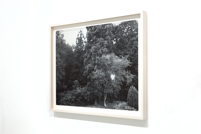 Untitled (November 2025) (1)