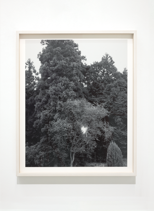 Untitled (November 2025) (2)