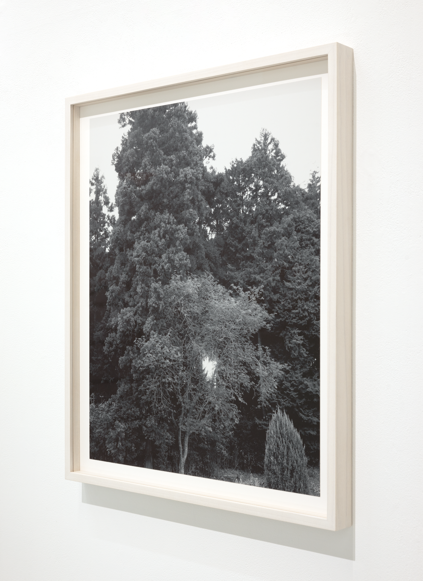 Untitled (November 2025) (2)