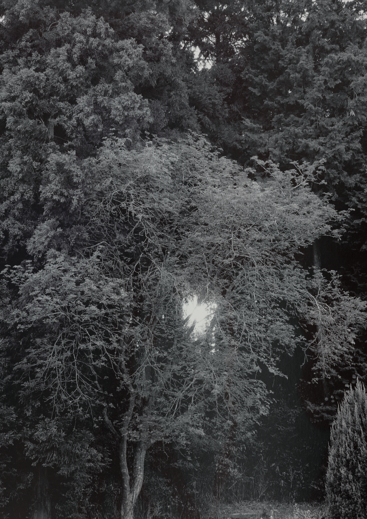 Untitled (November 2025) (2)