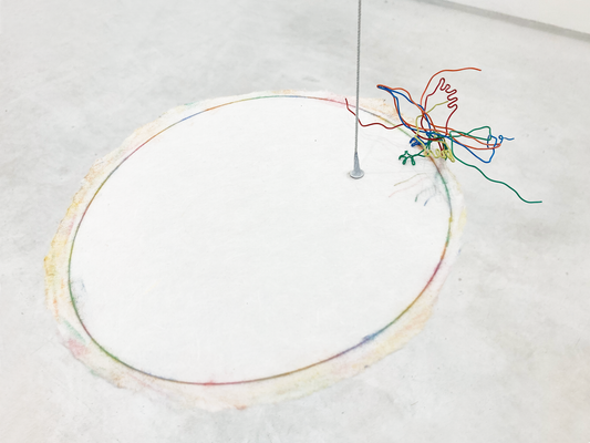 光におくれるーカラス / Down to Light Speed - Crow