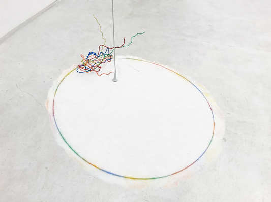 光におくれるーカサゴ / Down to Light Speed - Scorpionfish