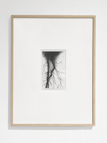 Untitled Lightning