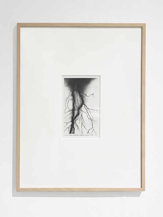 Untitled Lightning