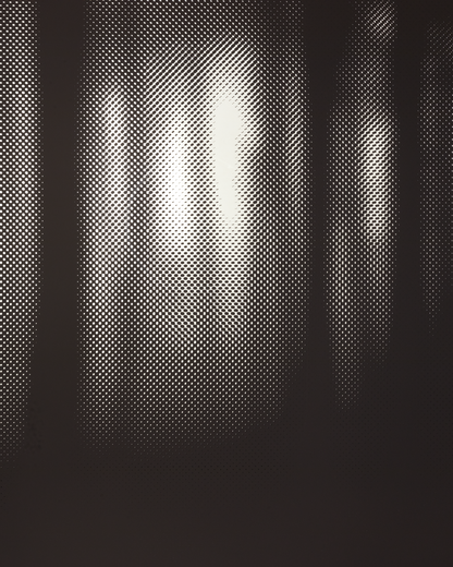 #illusion #幻影 #intothewild