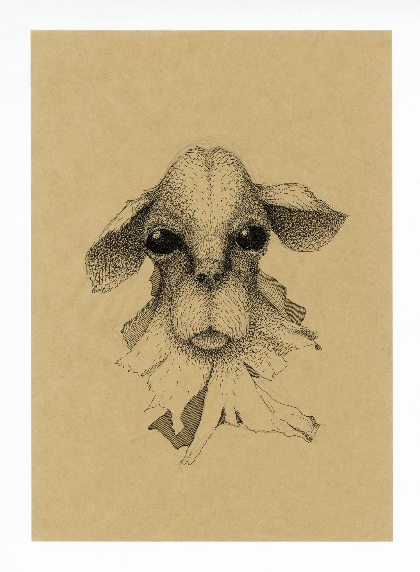 Drawing