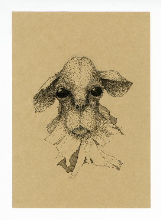 Drawing