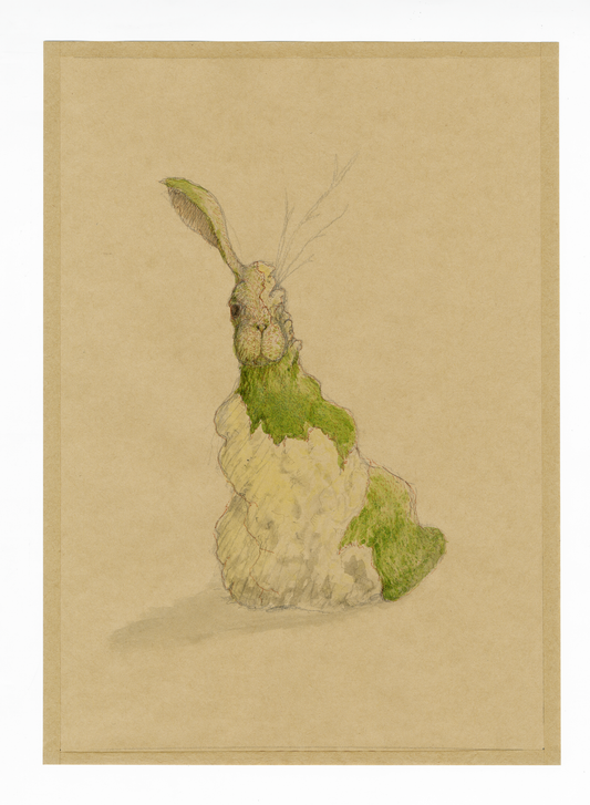 Drawing