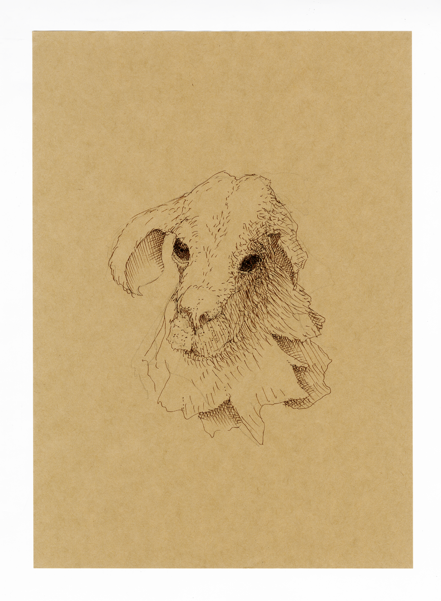 Drawing