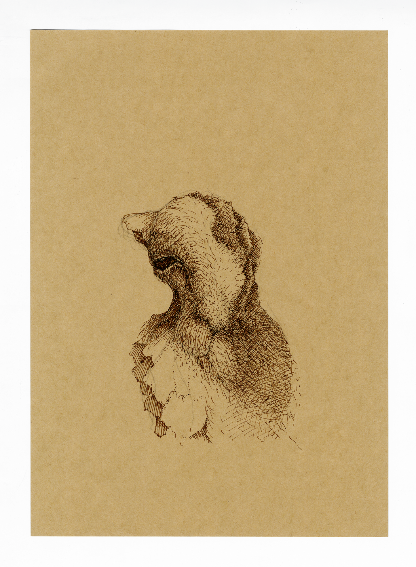 Drawing