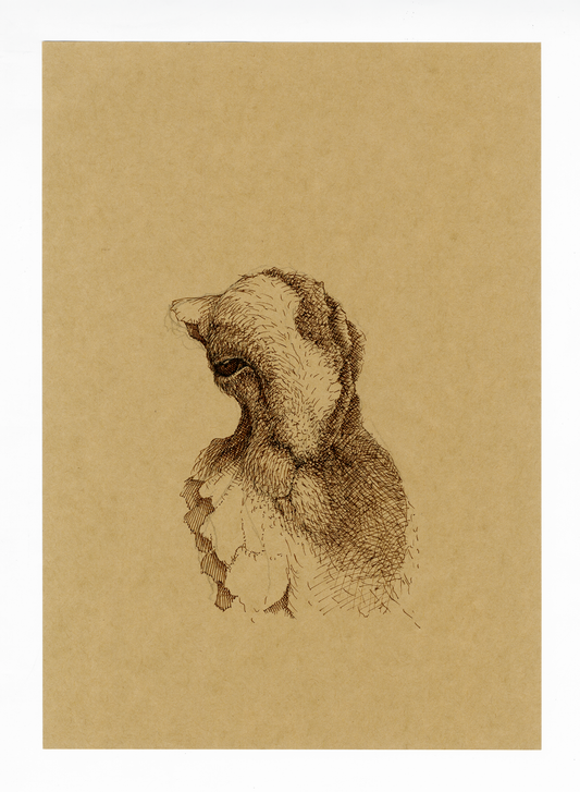 Drawing