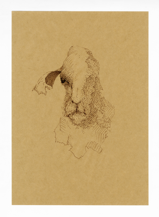 Drawing