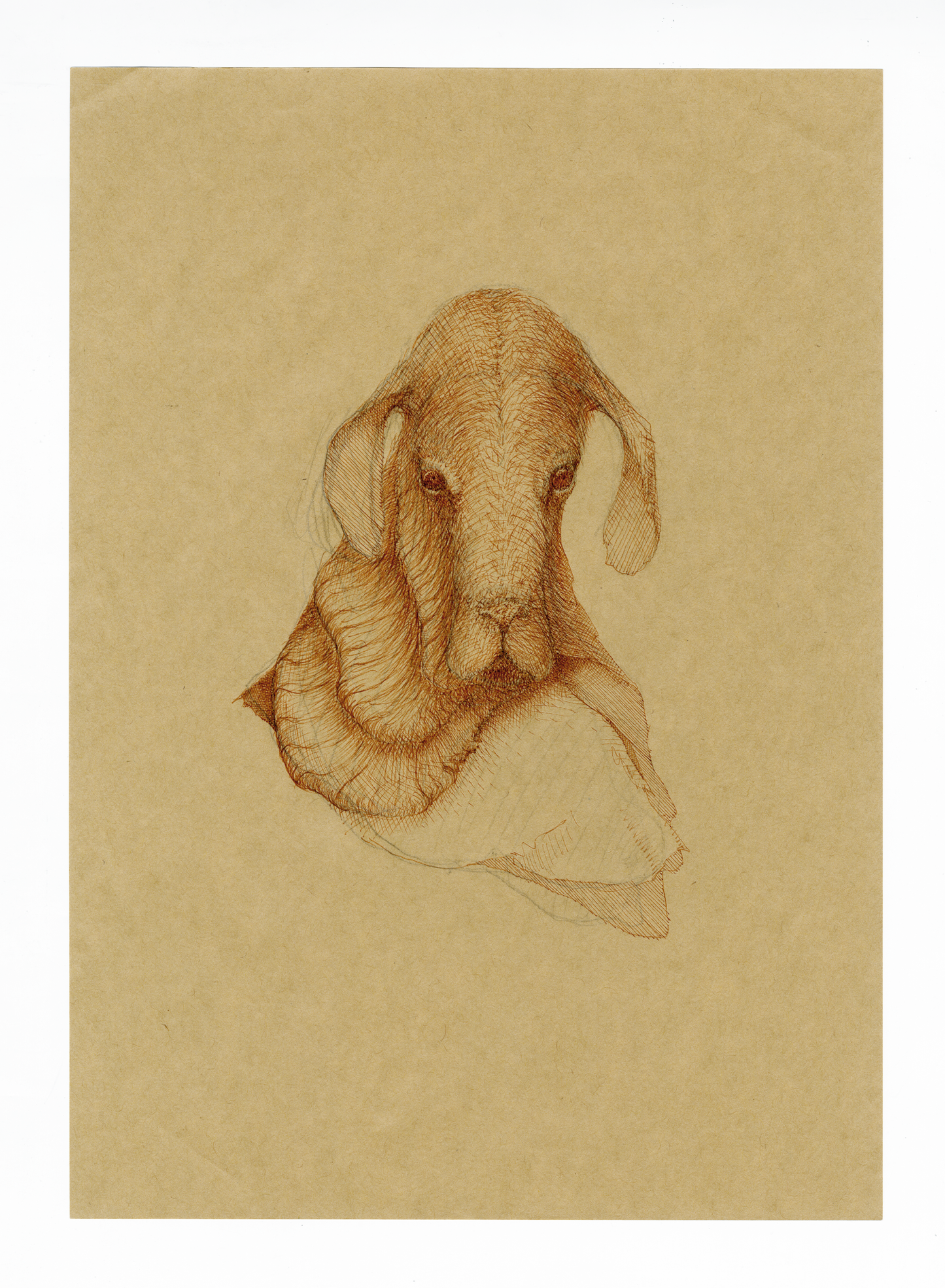 Drawing