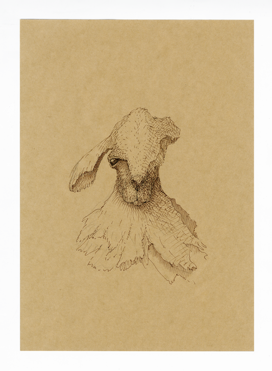 Drawing